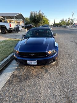 Mustang