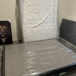 Queen Mattress & Box Spring 