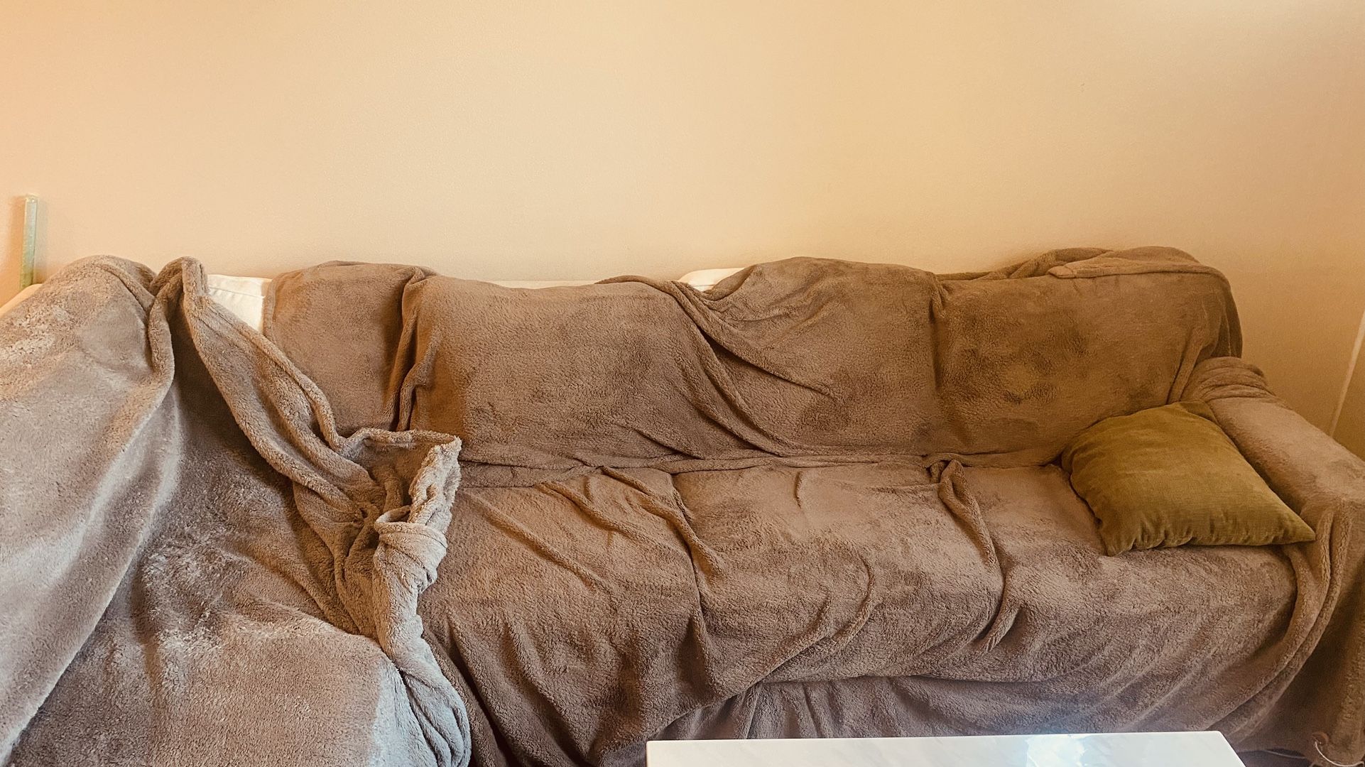 L shape couch 