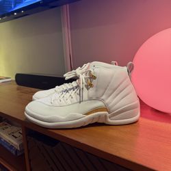 Jordan Retro 12