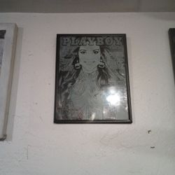 Set Of 2 Etched Glass Pictures 