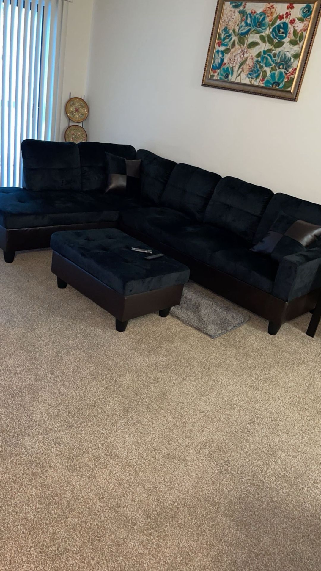 Living Room  Couch/Sofa And Tv Stand 