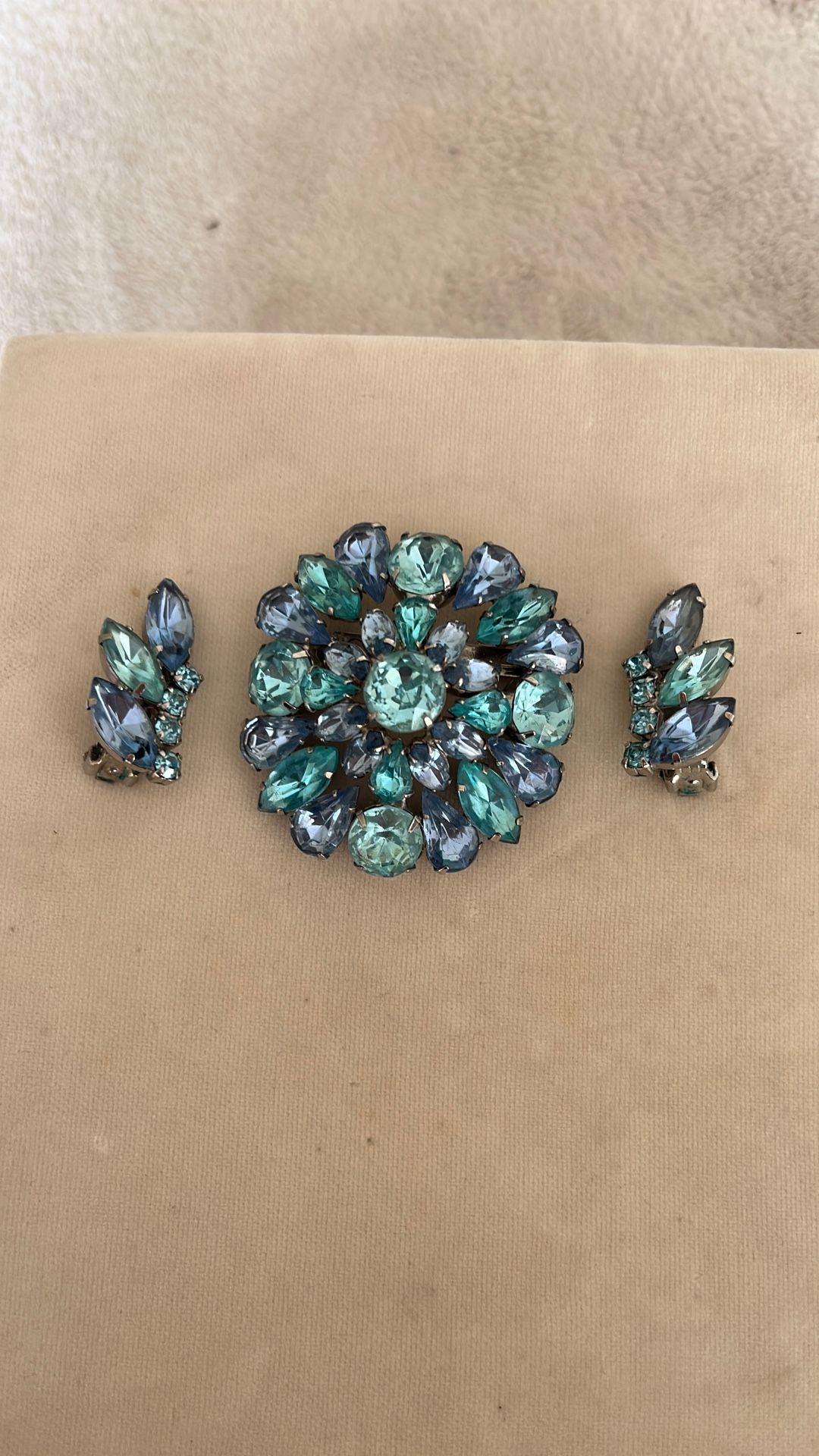 Vintage Brooch With Earrings