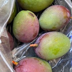 Mango Verde / Green mangoes 