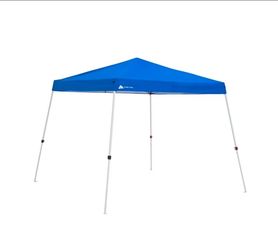 Carpa 10x10