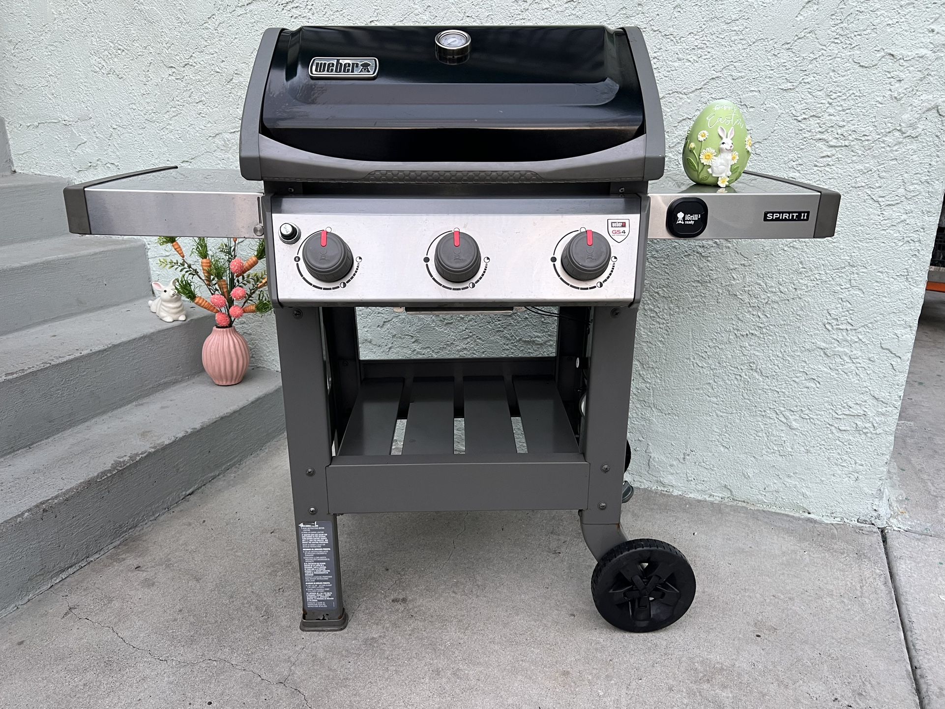 Weber Bbq Grill Propane Asador
