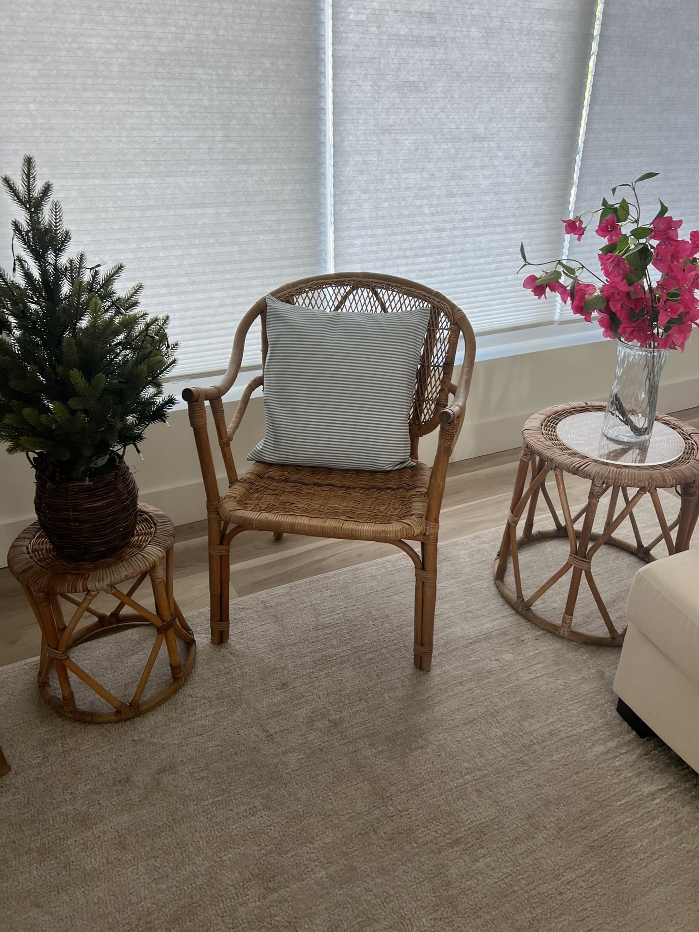 Wicker Chairs Coffee Table And Side Tables