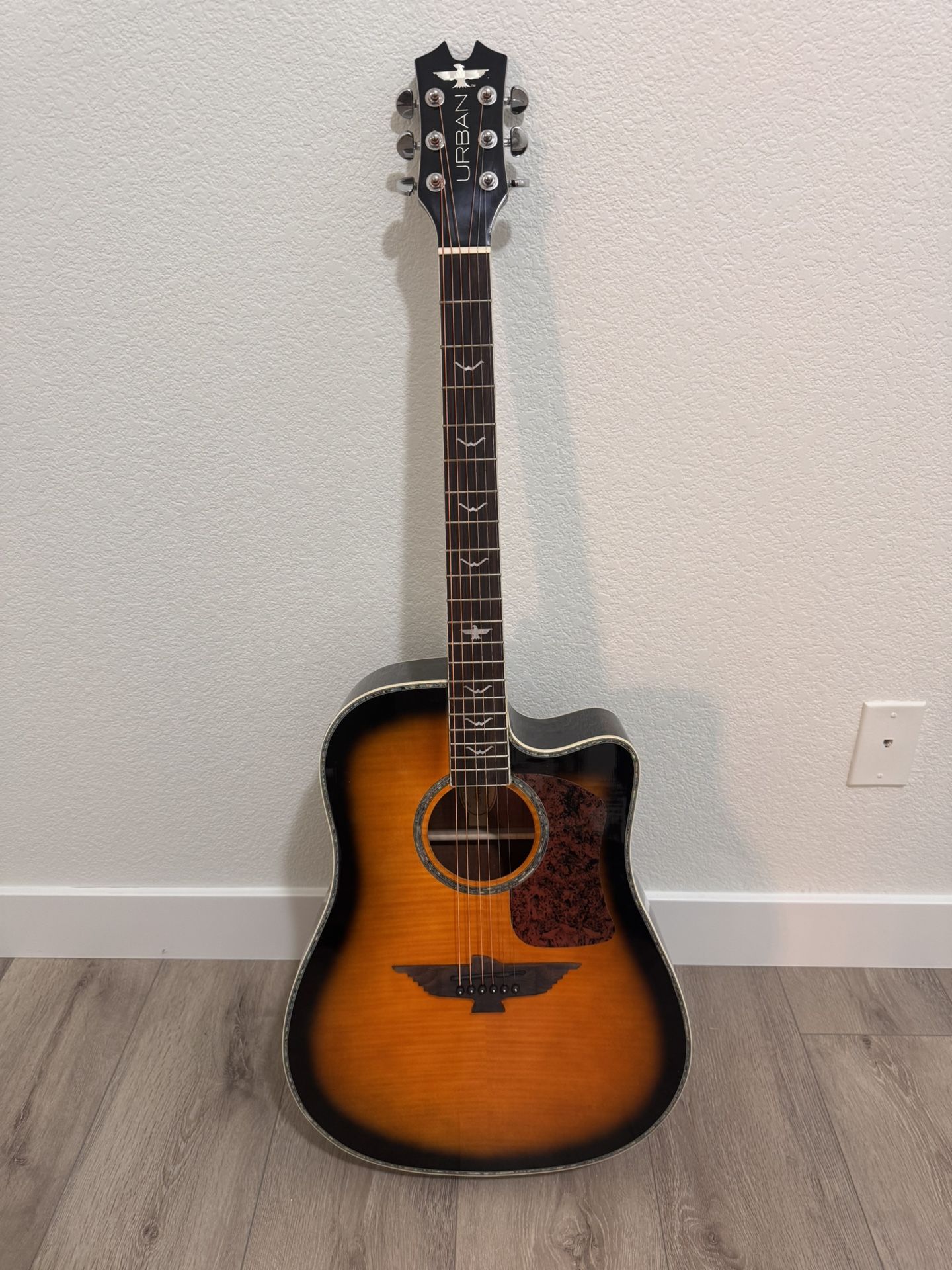 Acoustic Electric Guitar