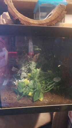 20 gal tank and accessories