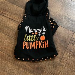 Halloween Small Puppy Hoodie 