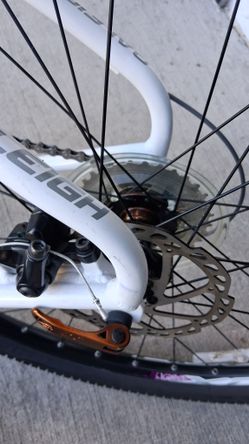 Raleigh Evo Bike. ( 29 Inch Wheels. )