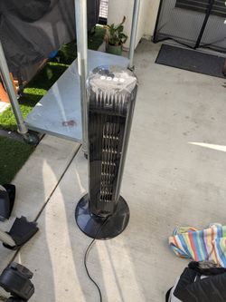 Fan