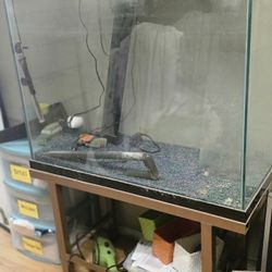 80 GAL FISH TANK