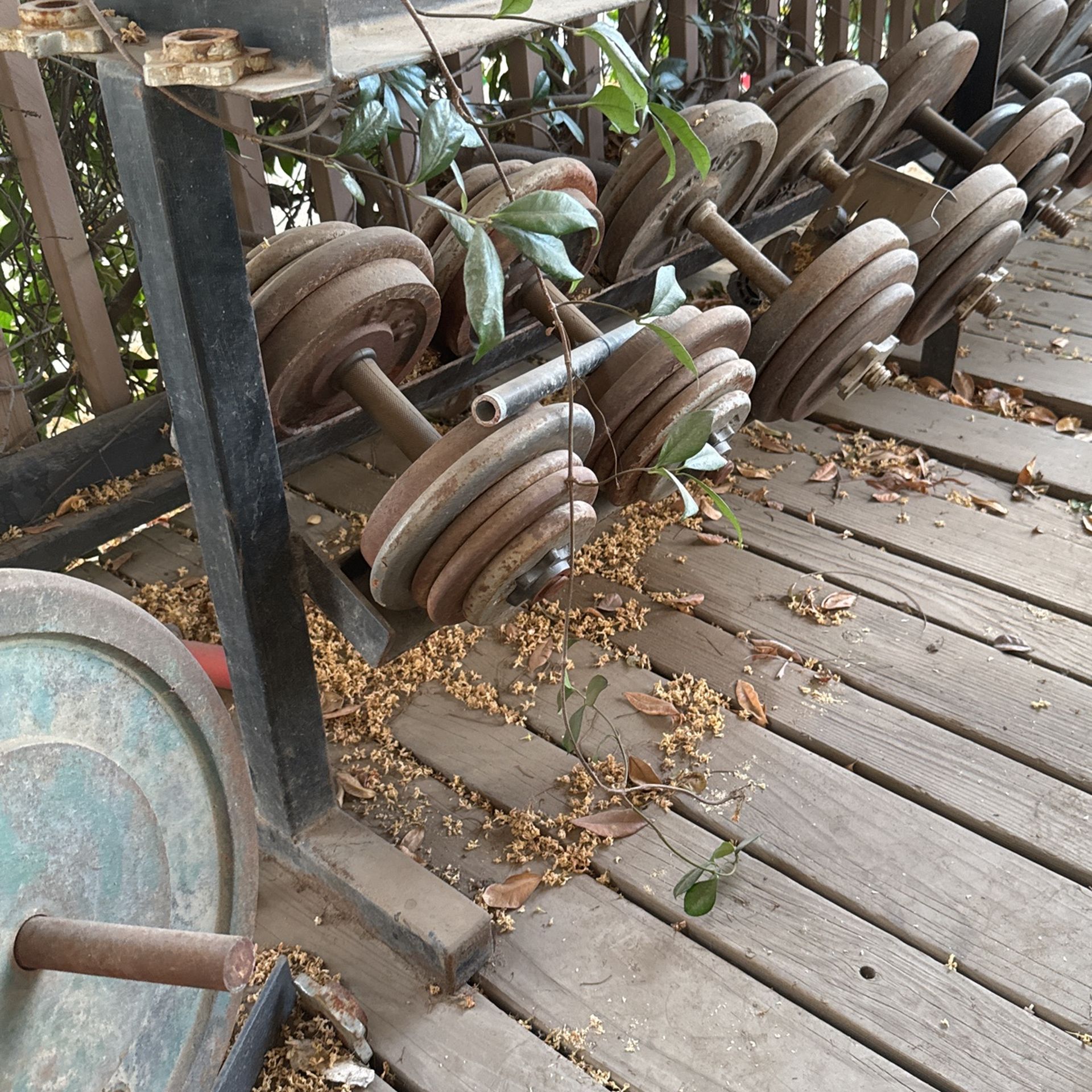 2 Tier Barbell Rack Asking $100 And A $1 A Pound All Different Size Weights