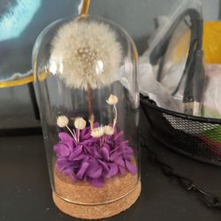 Dried Dandelions In Glass Dome