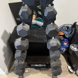 INSPIRE Dumbbell Set And Rack( Barely Used)