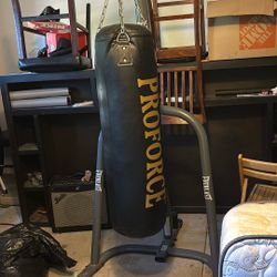 Punching Bag