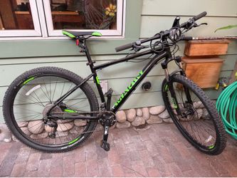 Marin bobcat trail 4