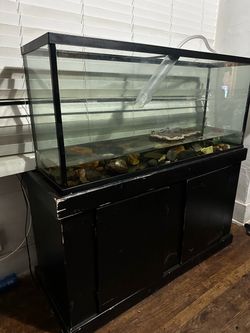 Large Glass Aquarium Tank with Stand