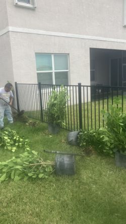 Clusias Perfect For Privacy All Sizes Available