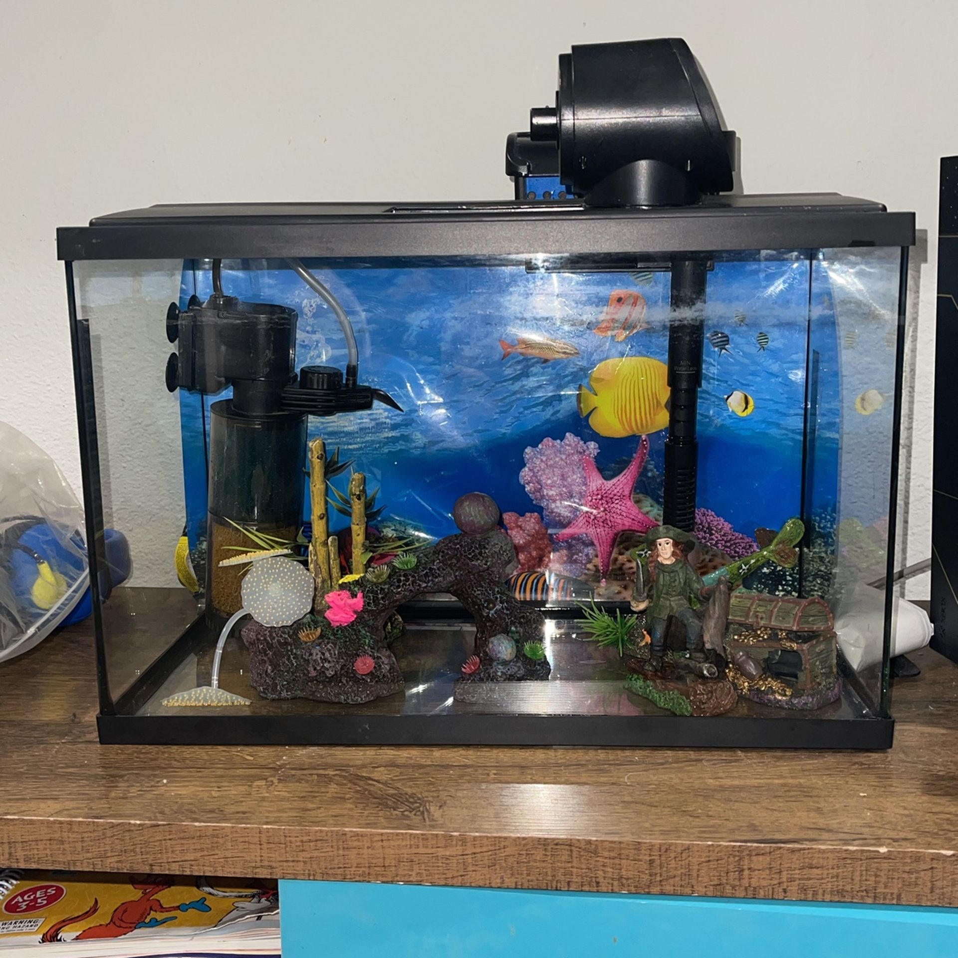 Fish Tank 5 Gallon 