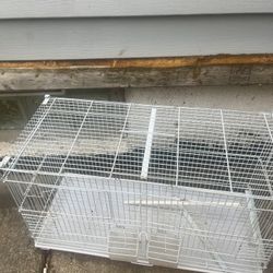 bird cage