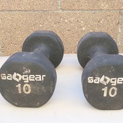 Pair of 10 Lb Dumbbells 