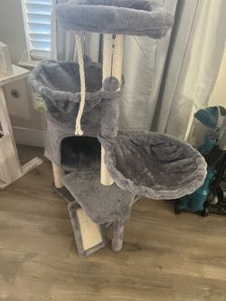 Cat House