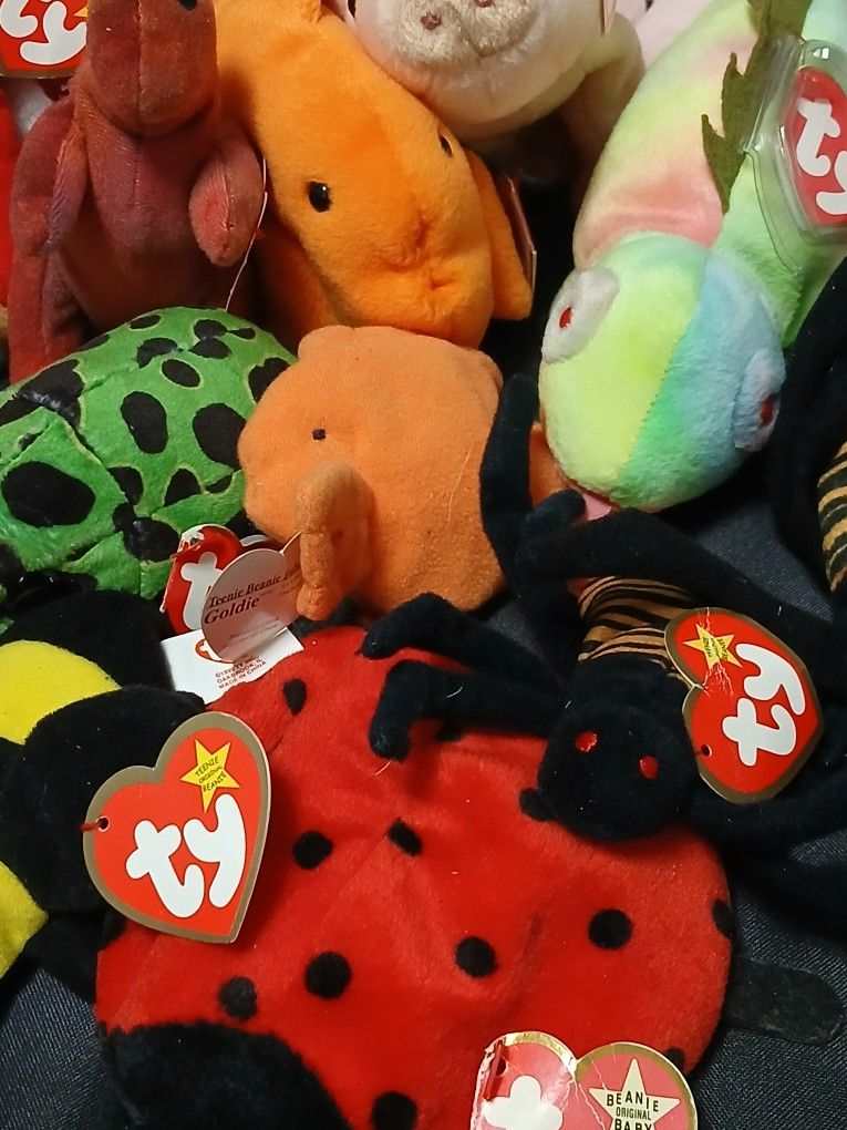 30 Ty Beanie Babies,some Rare & Retired, Tags Errors, $30 ALl