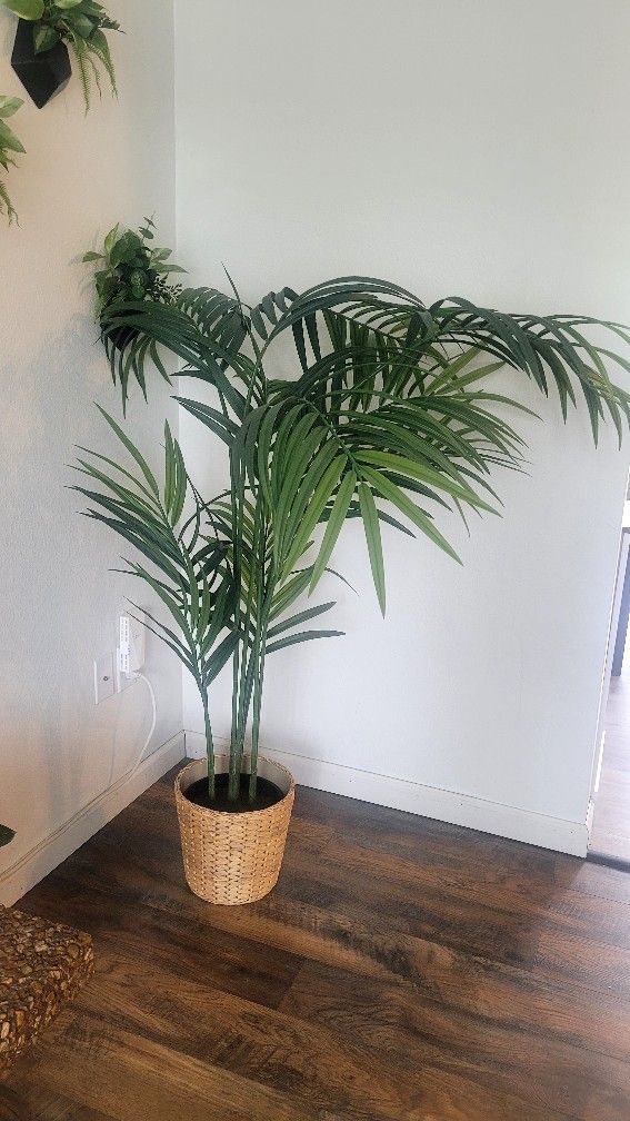 Decoracion Plastic Plant 🪴