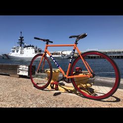 Masi online speciale fixed
