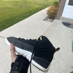 Jordan 12 
