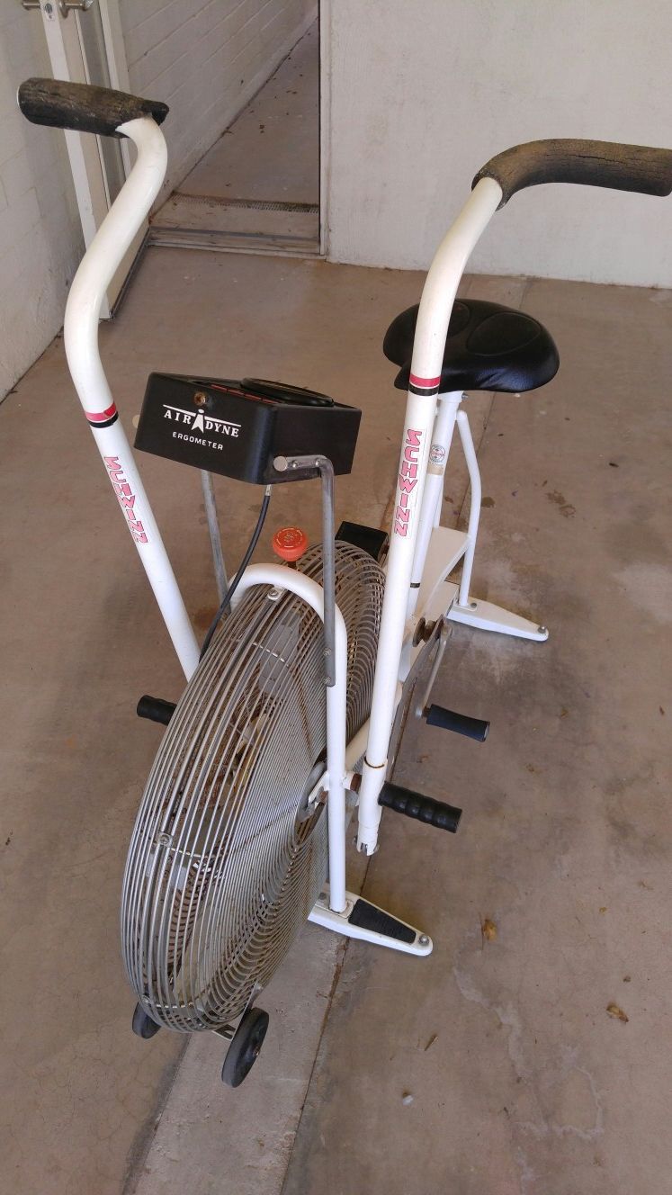Schwinn Airdyne Classic 1987