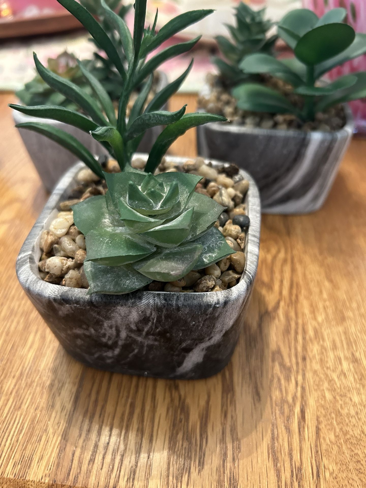 Fake Succulents