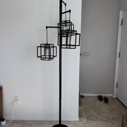 Floor Lamp With Edison Bulbs