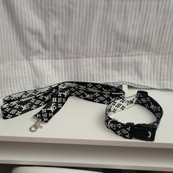 Collar and Leash For Medium to Large Dog.