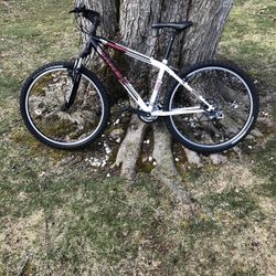 26” Trek Mountain Bike