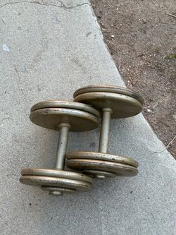 45 lb pair of weights
