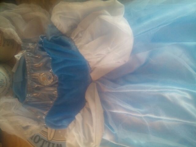 Kids Cinderella dress