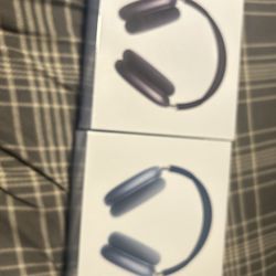 AirPod Maxes