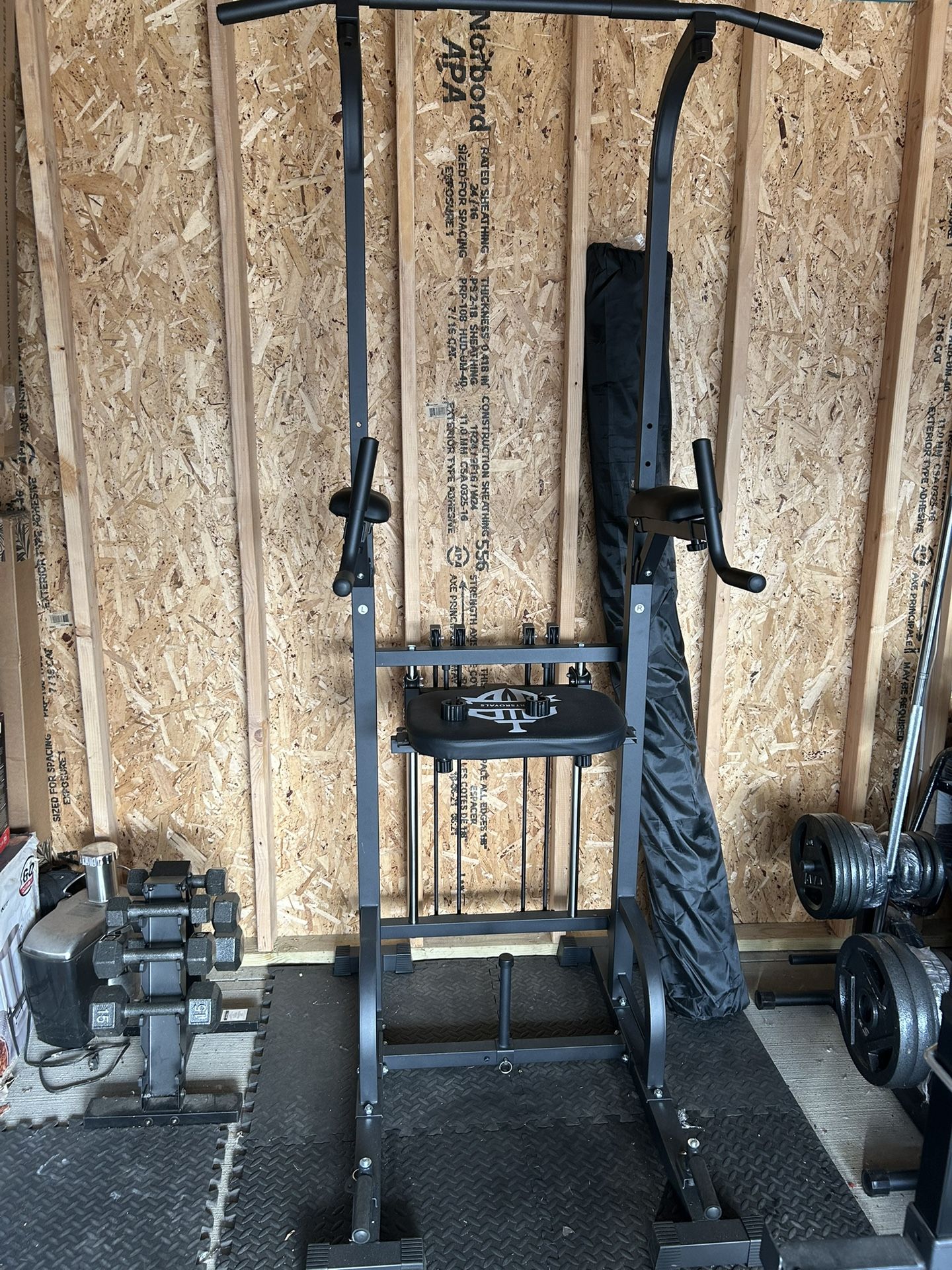 Assisted Pull Up/Dip Station