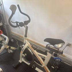 Jet Bike by Bladez Fitness 