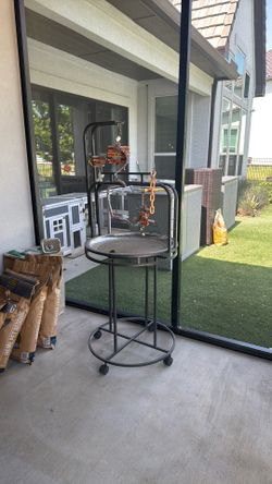 Free Bird Parrot Stand