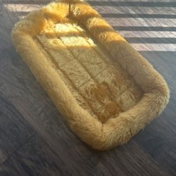 small dog bed 