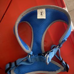 Blue Dog Harness Size Small 