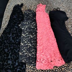 Women's Dress Bundle 
