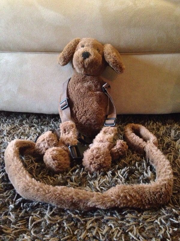 Eddie Bauer 2-in-1 Harness Buddy