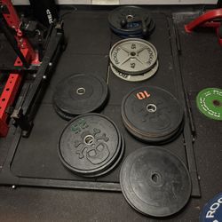 Tribe Wood, Rouge Plates