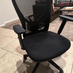 2 Office chairs 