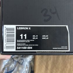 Nike LeBron X